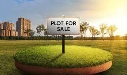 Plot