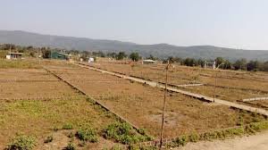 Plot